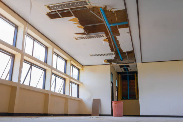 Best Flood restoration services  in Otsego, MI