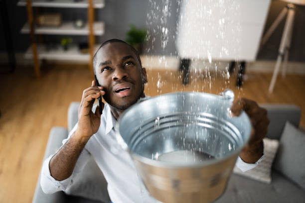 Best Emergency water extraction  in Otsego, MI
