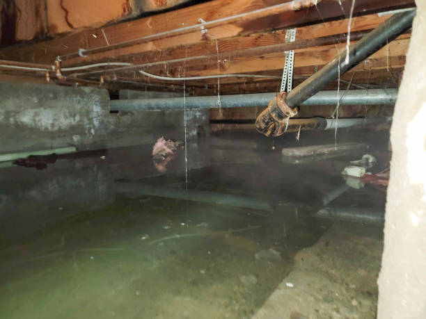 Best Ceiling water damage repair  in Otsego, MI