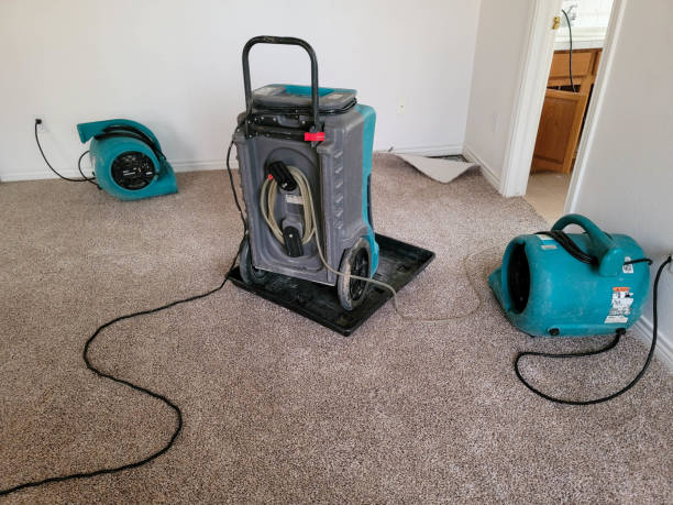 Best Sewage cleanup and water damage restoration  in Otsego, MI