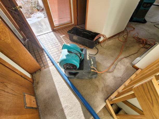 Best Local water damage restoration  in Otsego, MI