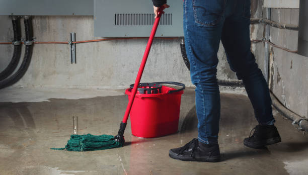 Best 24/7 water damage repair  in Otsego, MI