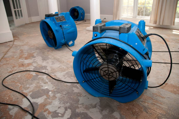 Best Water damage cleanup near me  in Otsego, MI