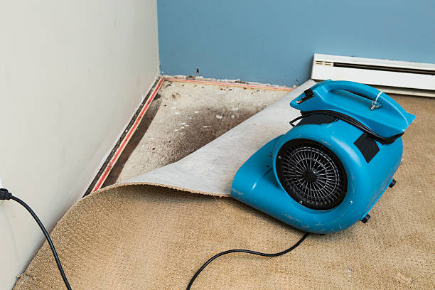 Best Basement water damage restoration  in Otsego, MI